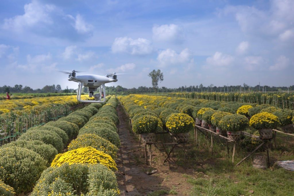 Green-leafed plants and a drone above them.
